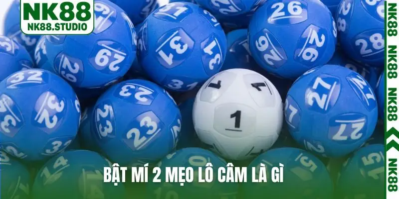 Bật mí 2 mẹo lô câm là gì